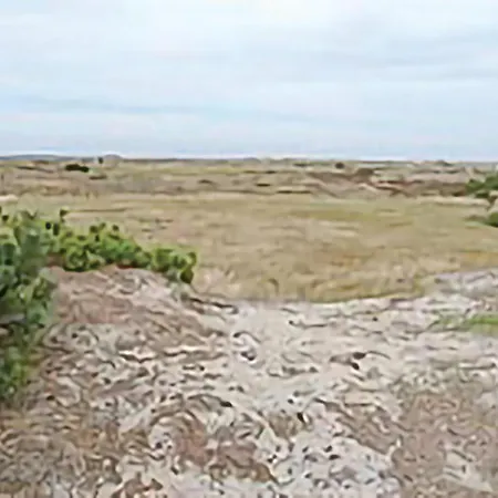 Casa vacanze Lovely In With Wifi *